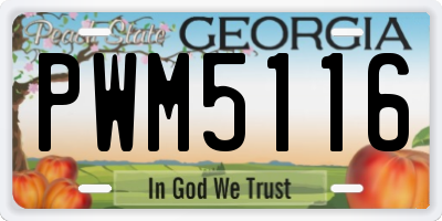 GA license plate PWM5116