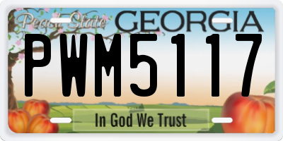 GA license plate PWM5117