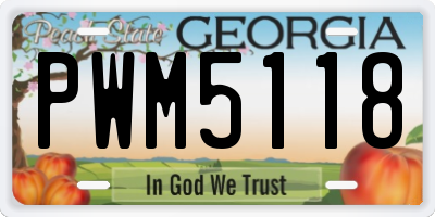 GA license plate PWM5118