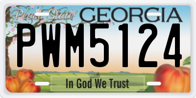 GA license plate PWM5124