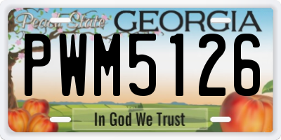 GA license plate PWM5126