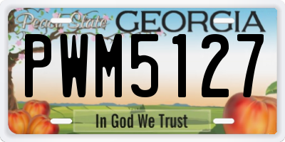 GA license plate PWM5127