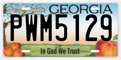 GA license plate PWM5129