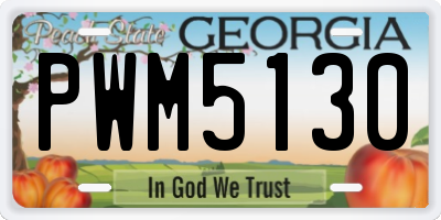 GA license plate PWM5130