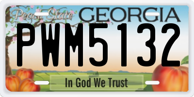 GA license plate PWM5132