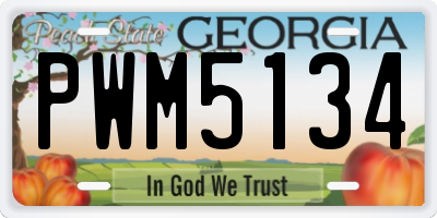 GA license plate PWM5134