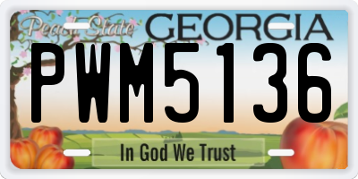GA license plate PWM5136