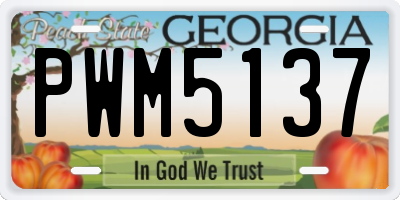 GA license plate PWM5137