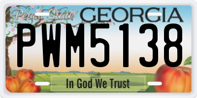 GA license plate PWM5138