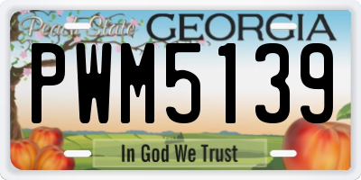 GA license plate PWM5139