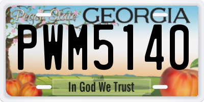 GA license plate PWM5140