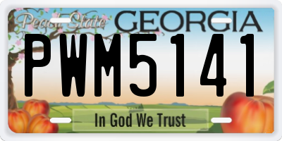 GA license plate PWM5141