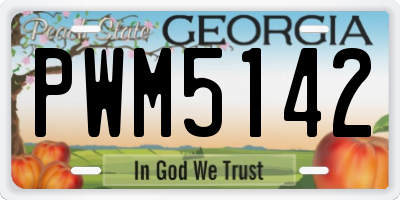 GA license plate PWM5142