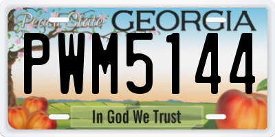 GA license plate PWM5144