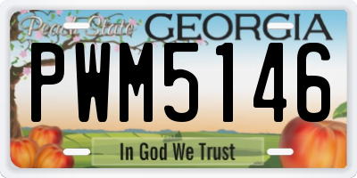 GA license plate PWM5146