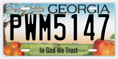 GA license plate PWM5147