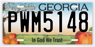 GA license plate PWM5148