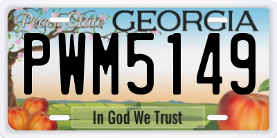GA license plate PWM5149