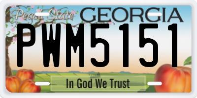 GA license plate PWM5151