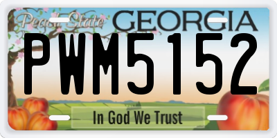 GA license plate PWM5152