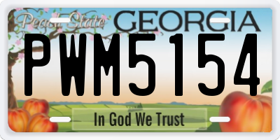 GA license plate PWM5154