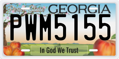 GA license plate PWM5155