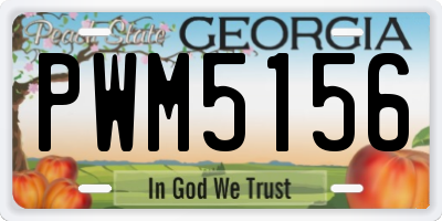 GA license plate PWM5156