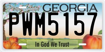 GA license plate PWM5157