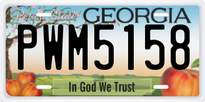 GA license plate PWM5158