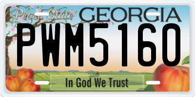 GA license plate PWM5160