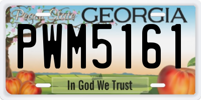 GA license plate PWM5161