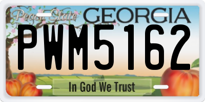 GA license plate PWM5162