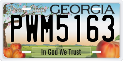 GA license plate PWM5163