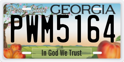 GA license plate PWM5164