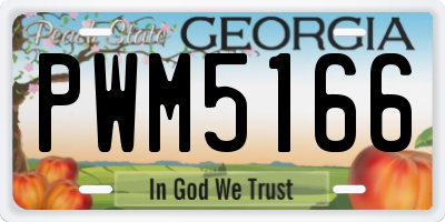 GA license plate PWM5166