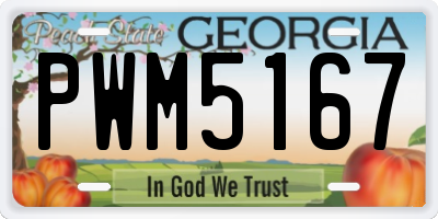 GA license plate PWM5167