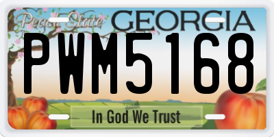 GA license plate PWM5168
