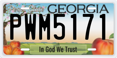 GA license plate PWM5171