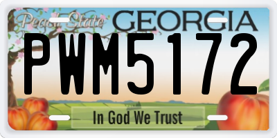 GA license plate PWM5172