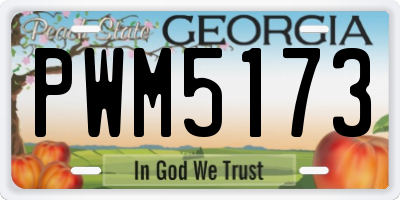 GA license plate PWM5173