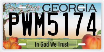 GA license plate PWM5174