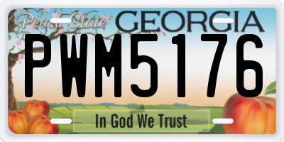 GA license plate PWM5176