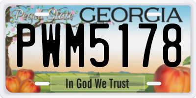 GA license plate PWM5178