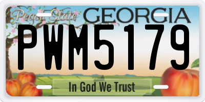 GA license plate PWM5179