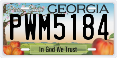 GA license plate PWM5184