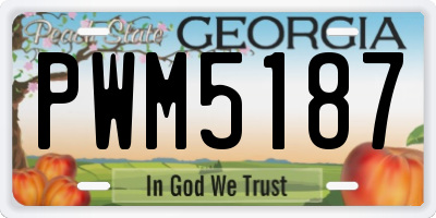 GA license plate PWM5187
