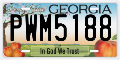 GA license plate PWM5188