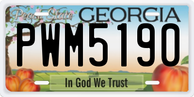 GA license plate PWM5190