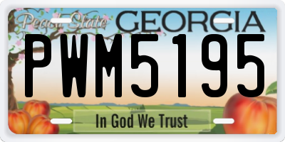GA license plate PWM5195