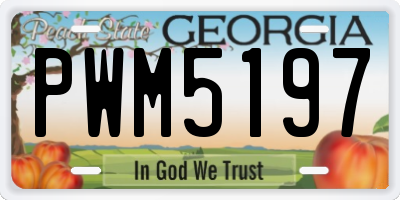 GA license plate PWM5197